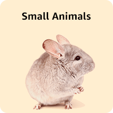 Small Animals