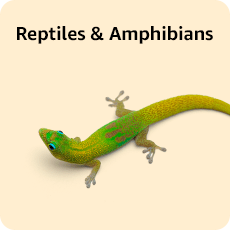 Reptilen & Amphibians